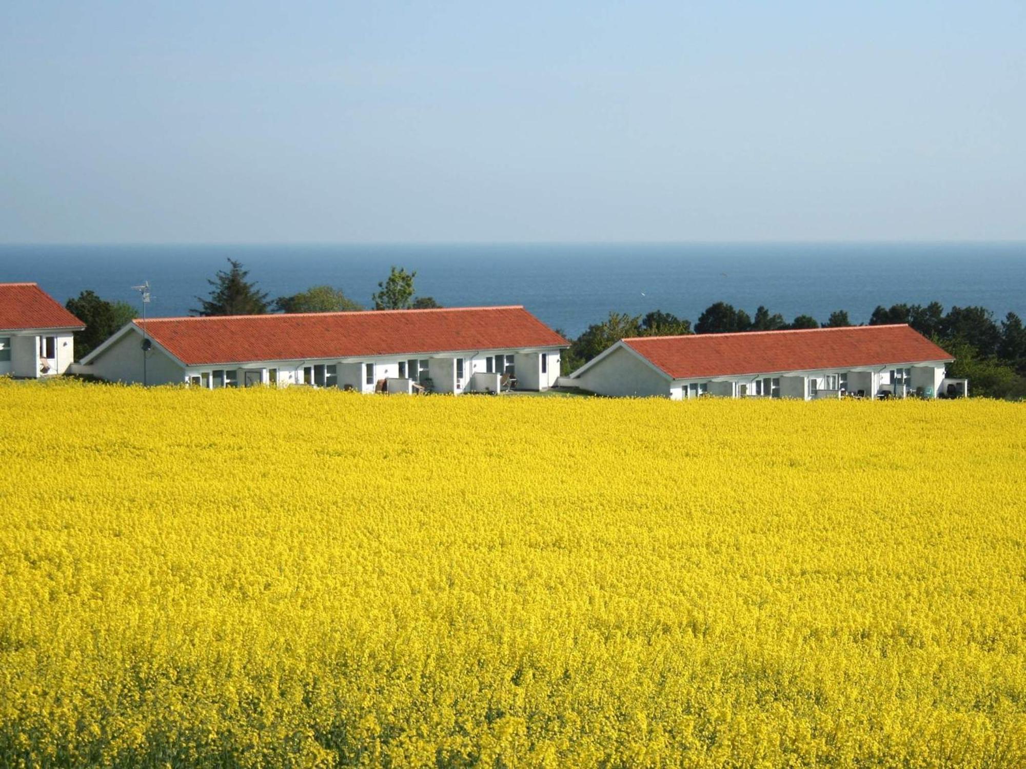 2 Person Holiday Home In Allinge Zewnętrze zdjęcie